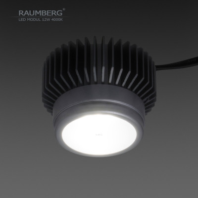 Светодиодный модуль  Raumberg12W4000K